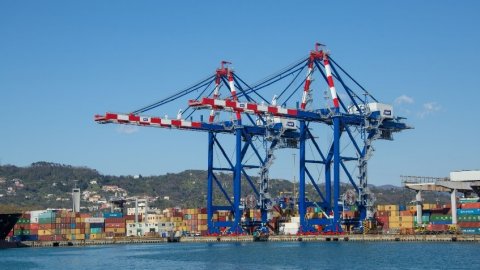 New 23 rows STS cranes at LSCT